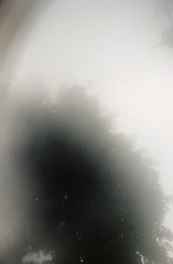 Foggy, Sometimes Sunny - View through mask