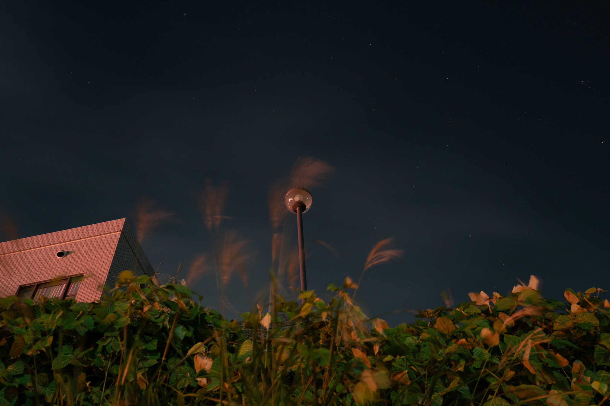 Modeled Nightscape 01