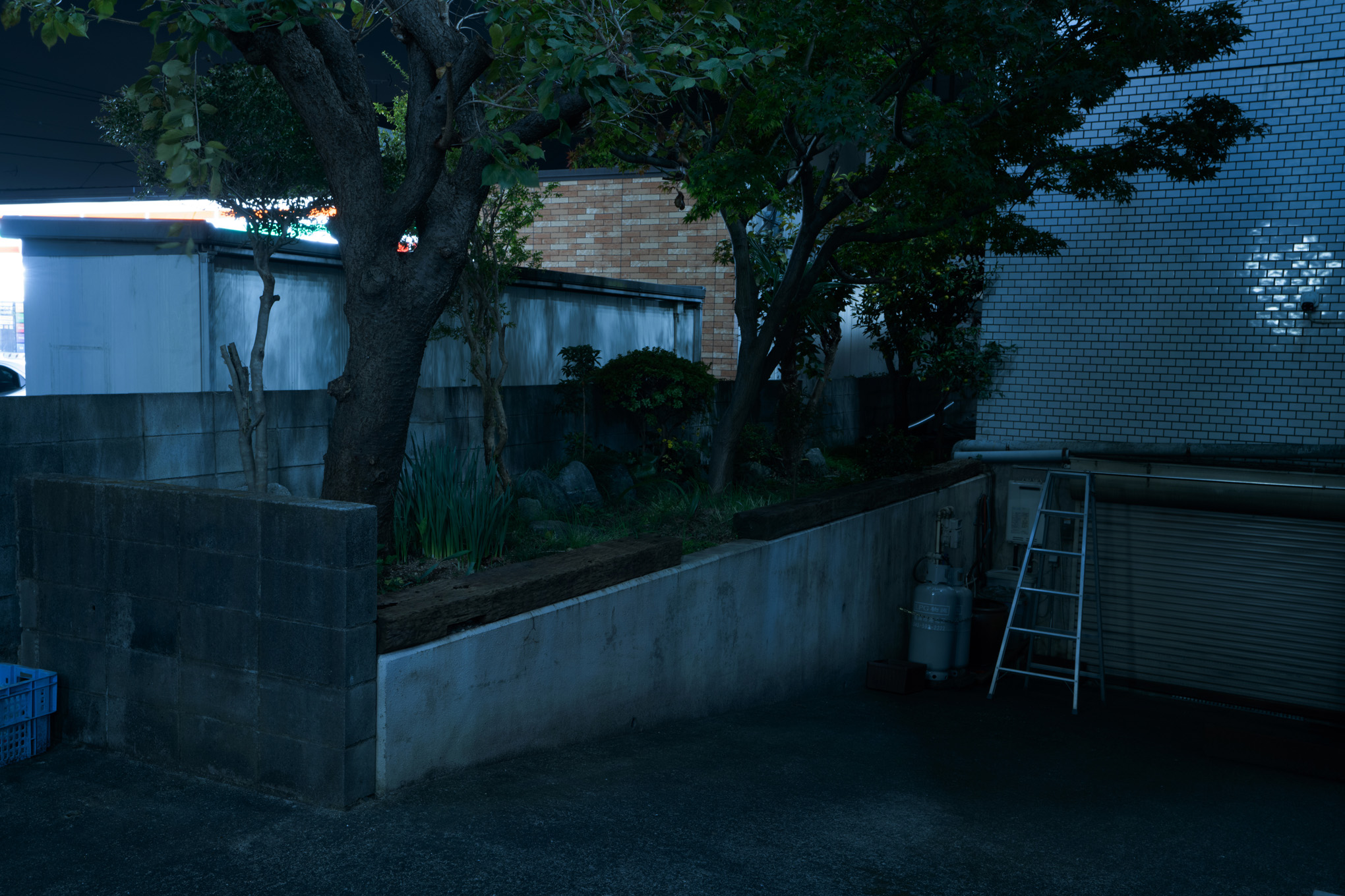 Modeled Nightscape 02