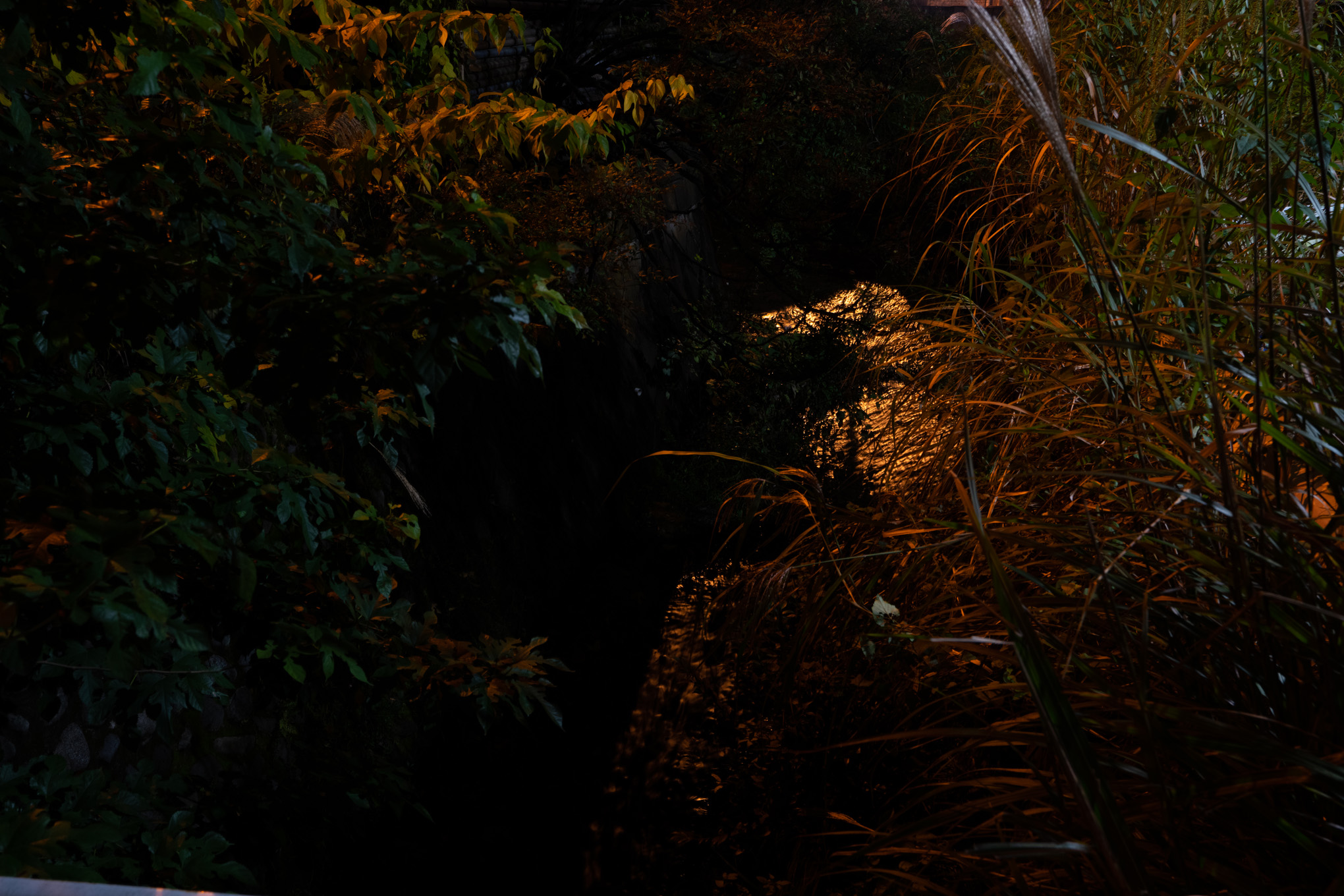 Modeled Nightscape 03