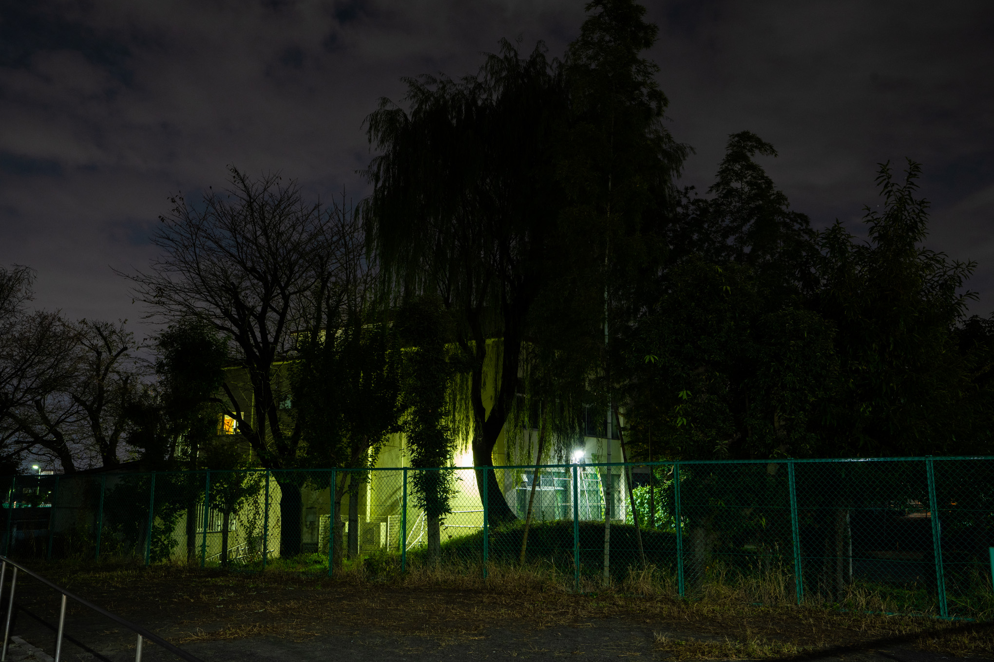 Modeled Nightscape 04