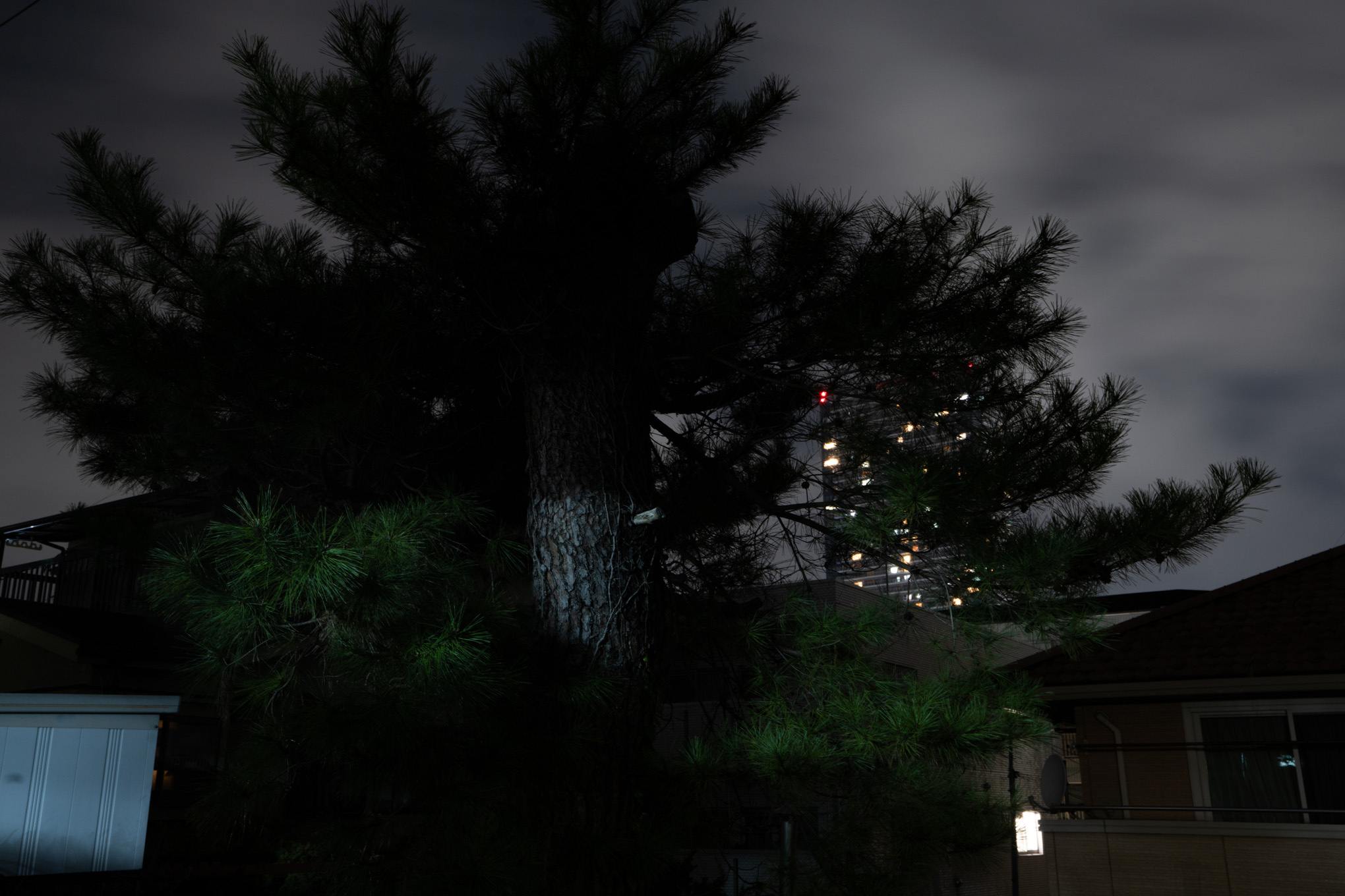 Modeled Nightscape 08