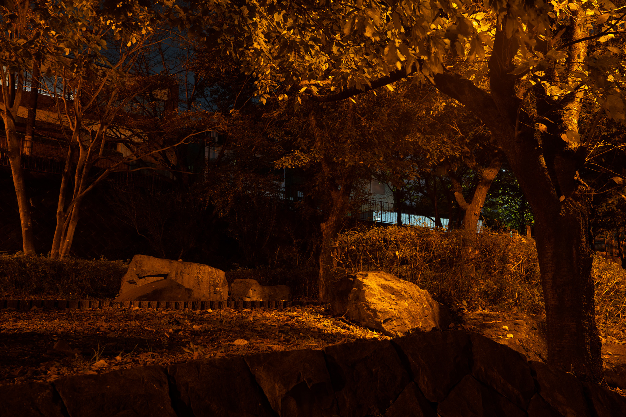 Modeled Nightscape 10