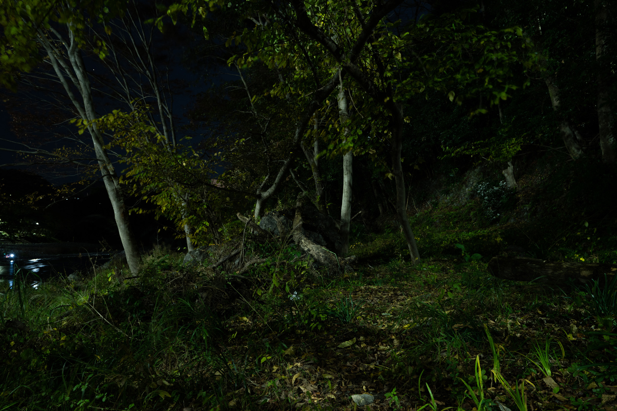 Modeled Nightscape 11