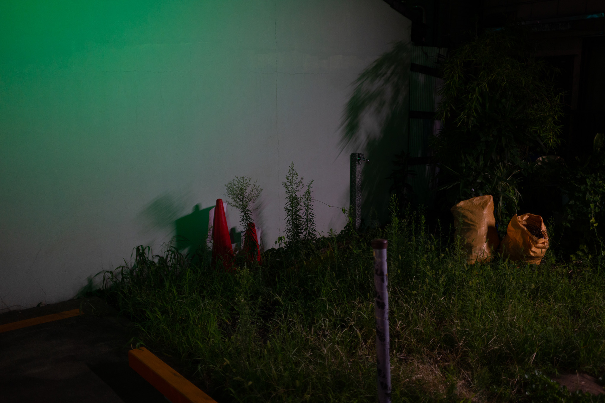 Modeled Nightscape 12