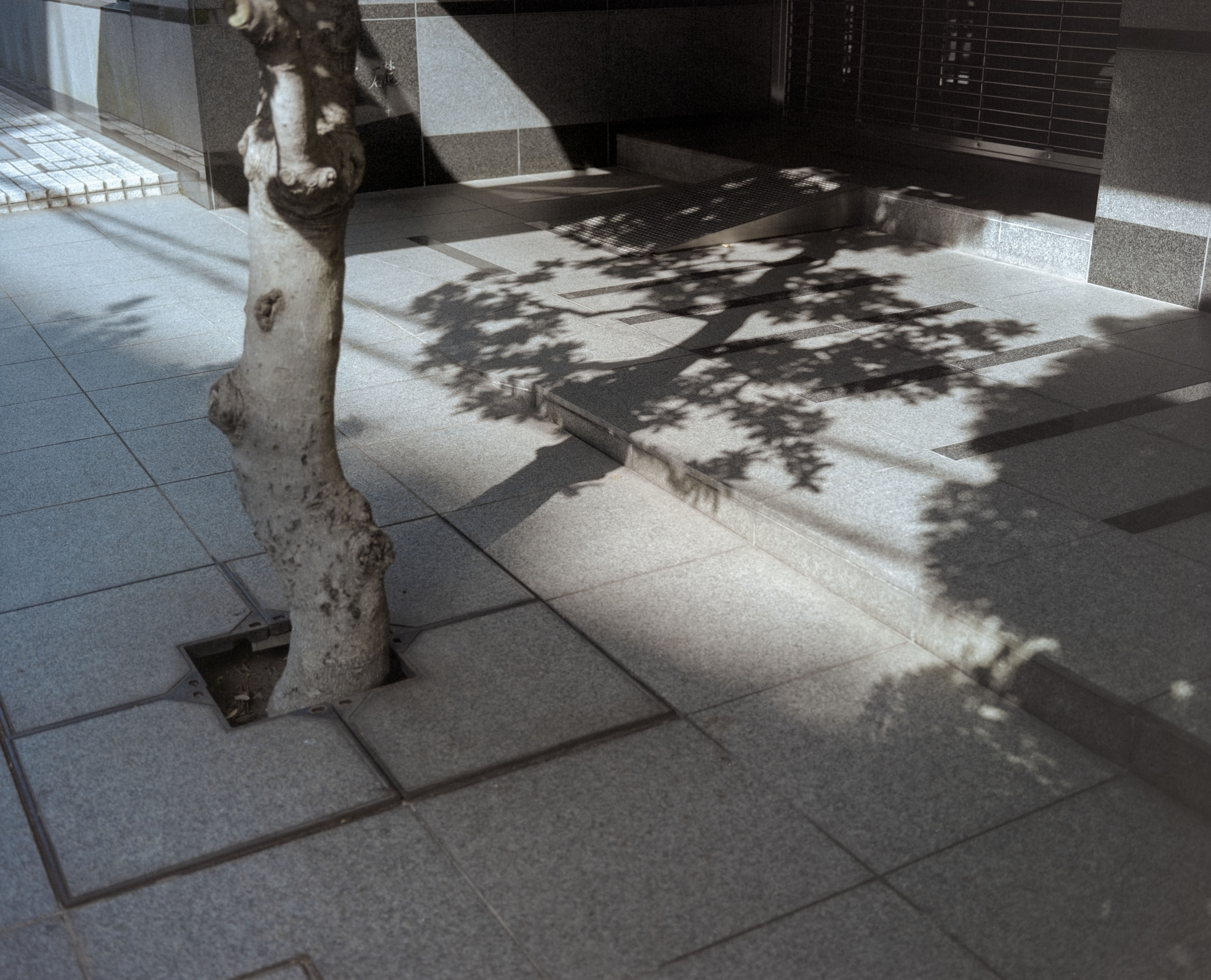 Surface of the City 16